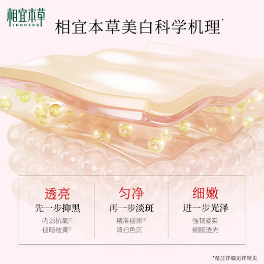 美白紧致面膜(两部曲)(1.5g+25g)*5片 补水美白淡斑去黄 商品图9