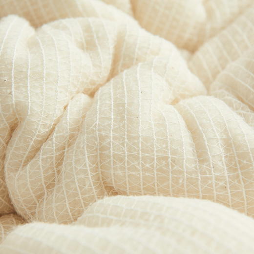 皮尔卡丹新疆棉花被絮PCAZ-1401 商品图6