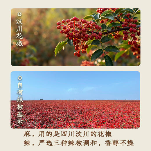 四川麻婆豆腐酱  植物配方净素 麻辣鲜香 商品图3