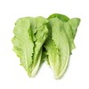 罗马生菜DS(份)(400±20g) 商品缩略图0