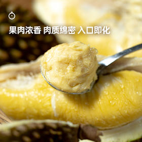 企鹅市集|马来西亚 猫山王鲜榴莲 空运进口 新鲜浓郁香甜