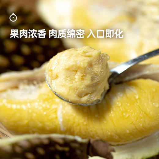 企鹅市集|马来西亚 猫山王鲜榴莲 空运进口 新鲜浓郁香甜 商品图0