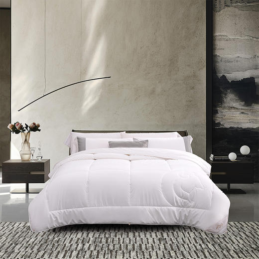 水星家纺抗菌DH威尔抗菌澳洲羊毛被 220cm×240cm 126789 商品图9