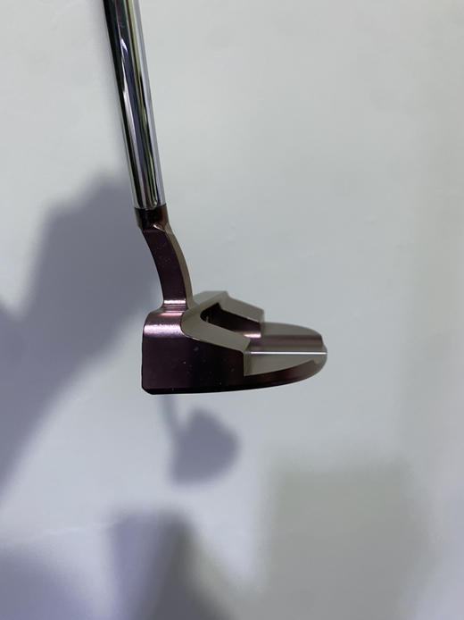 全新外贸渠道蜂后半圆推杆35寸特价480元 商品图3