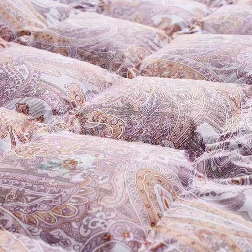 【春上新】10楼  富安娜   95%白鹅绒冬被 / 咖啡  吊牌价15800-16800元   活动价 2999元 商品图1