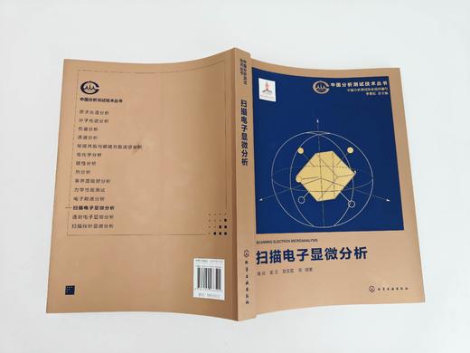 扫描电子显微分析 商品图4