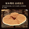 劲牌持正堂破壁灵芝孢子粉胶囊 商品缩略图2