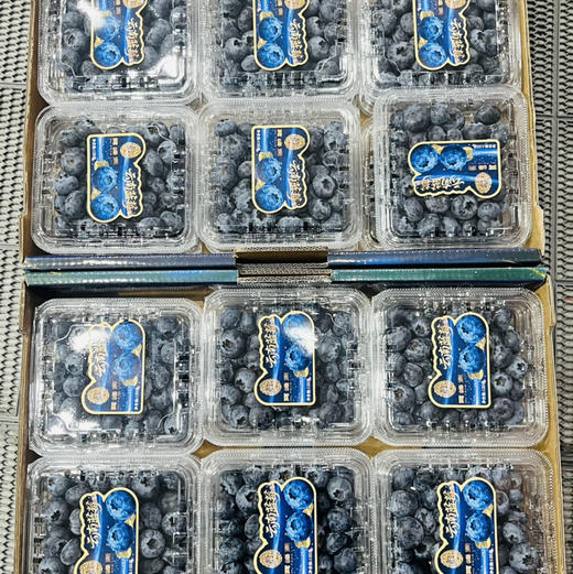 【限量活动】 18mm 国产新鲜蓝莓 1箱12盒*125g  脆甜 护眼  包装随机发 商品图3
