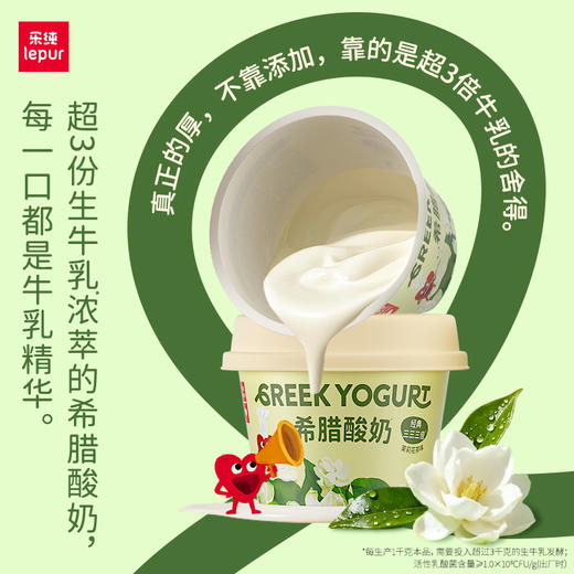 乐纯希腊低温酸奶冷藏储存全家福多口味套装低温酸奶家庭装 商品图2