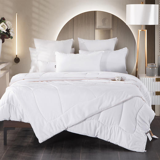 多喜爱 臻品绵羊毛生物绒亲肤加厚冬被/子母被 cs【超细羊毛】【60S全棉提花】【柔软贴身】【温暖舒适】分区保暖 精致烫钻 多种厚度 皮质手提包 商品图0