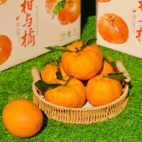 柑橘双鲜组合||椪柑与纽荷尔阳光香橙  果肉饱满 鲜甜多汁 自然好味 云南大理直发