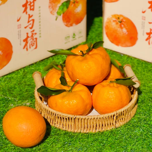 柑橘双鲜组合||椪柑与纽荷尔阳光香橙  果肉饱满 鲜甜多汁 自然好味 云南大理直发 商品图0