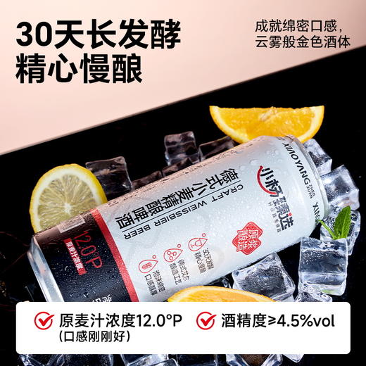 【小杨臻选】德式小麦精酿啤酒奶盖泡沫麦香浓郁 商品图1