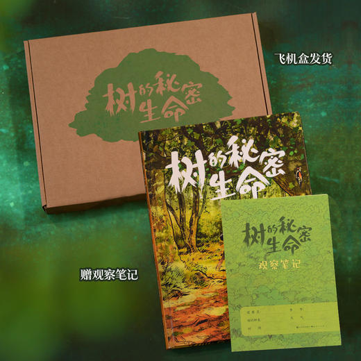 【樊登好书】树的秘密生命（赠观察笔记本） 商品图6