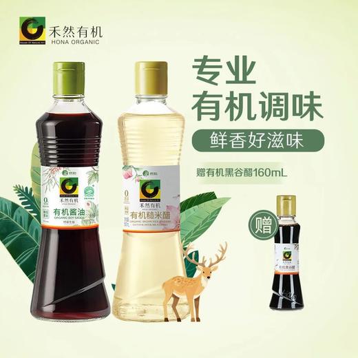 年终钜惠，下单送好礼，禾然有机调味品套餐 全链有机 自然本味 无负担 百搭调味品基地直邮 商品图2
