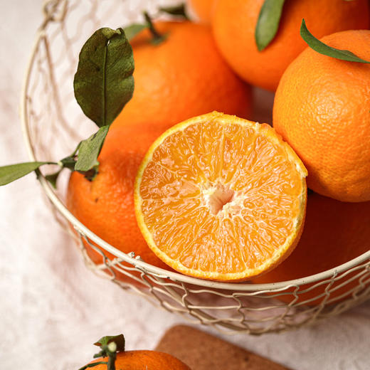 生态红美人果冻橙 商品图0