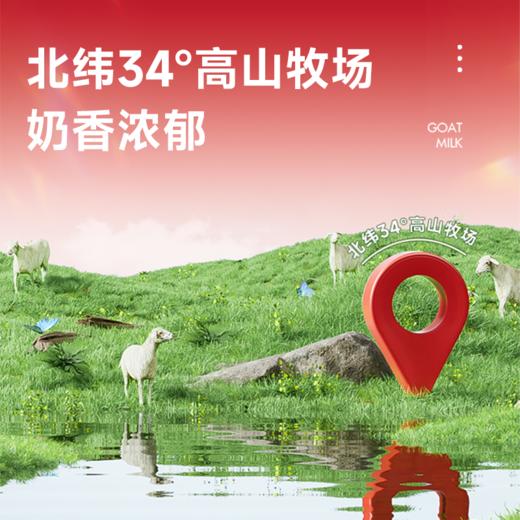 【2罐加送赠品 需要奶瓶下单备注】谷登羊奶粉（犬用）200g 商品图1