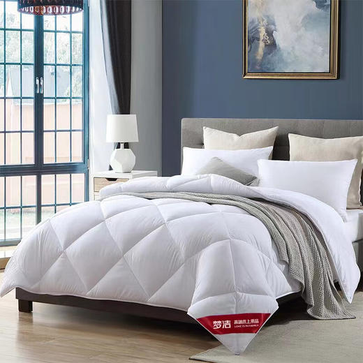 梦洁家纺抗菌七孔大豆被200*230cm 商品图1
