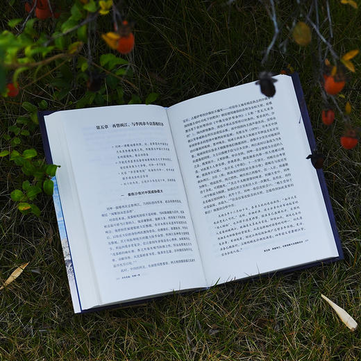 天许忠诚：刘坤一传 商品图3