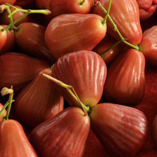 海南黑金刚莲雾精品礼盒   京东/顺丰空运 商品图5