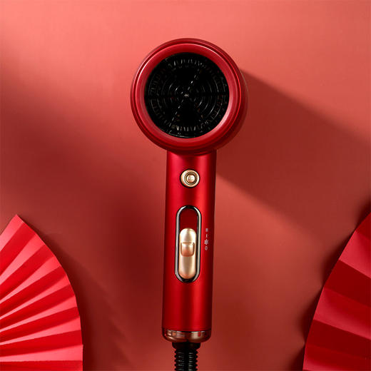 西屋电吹风H101 商品图3