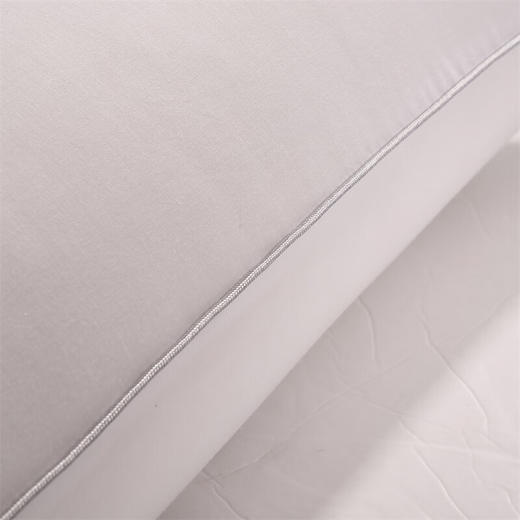 水星家纺 沁新抗菌枕 48cm×74cm 洁净舒适 抗菌防螨 123776 商品图4