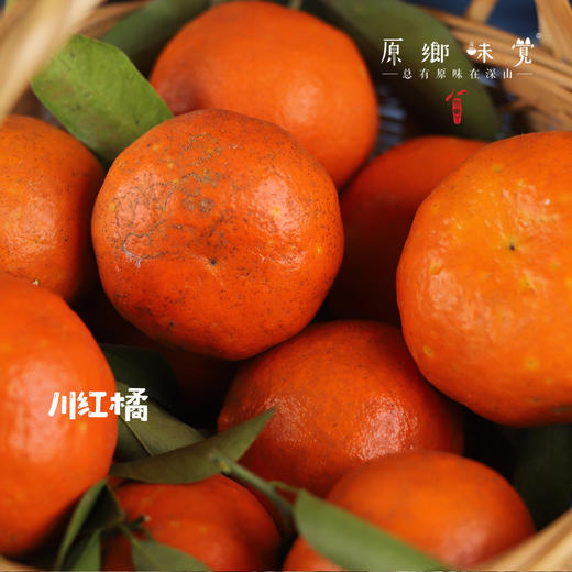 生态老树川红橘&清泉橙（基地直发-京东包邮）| 8.5-8.7斤装，来自四川蓬安，生产者：林绍勇【合作生产，公平贸易】 商品图1