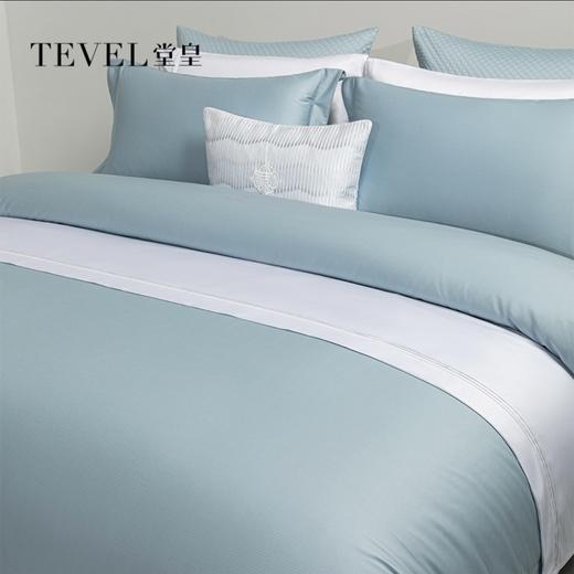 10楼堂皇    全棉本色提花条纹四件套--安纳    吊牌价2090-2290元  活动价499元（大小同价） 商品图0