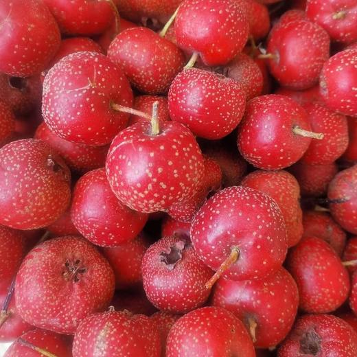 【BF】山楂约200g 商品图0