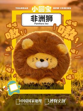 我有猫啦我有猫啦！！