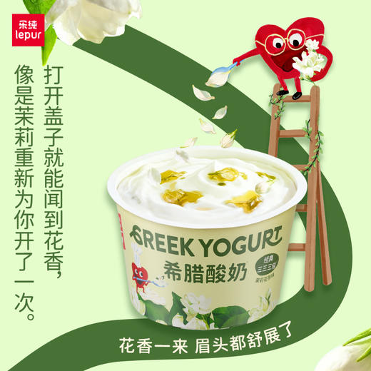 乐纯希腊低温酸奶冷藏储存全家福多口味套装低温酸奶家庭装 商品图1