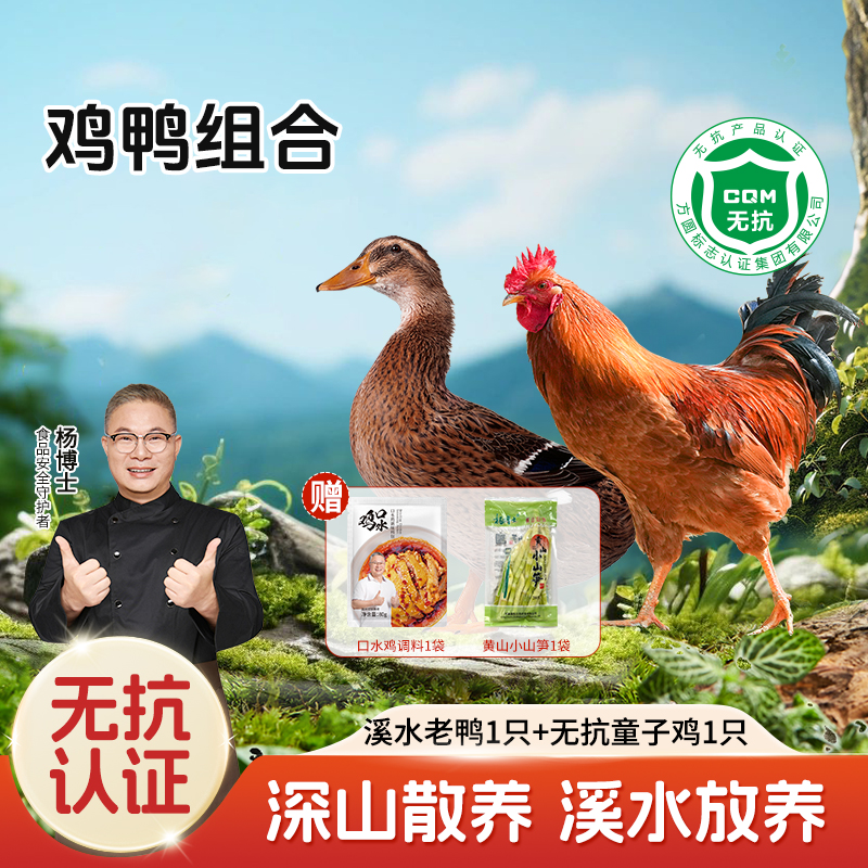 【杨博士自营 皖美鸭鸡双鲜】1只溪水河鸭+1只无抗童子鸡 赠：1袋笋尖+1袋口水鸡调料