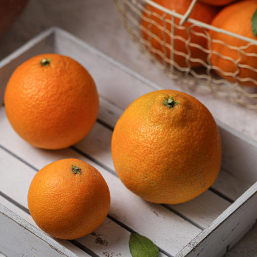 生态红美人果冻橙 商品图3