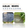 山泉鲷鱼 商品缩略图12