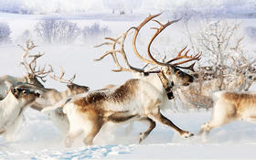  “最养头发”的10种食物，让你头发乌黑有光泽，坚韧不易掉~百岁名医也爱吃