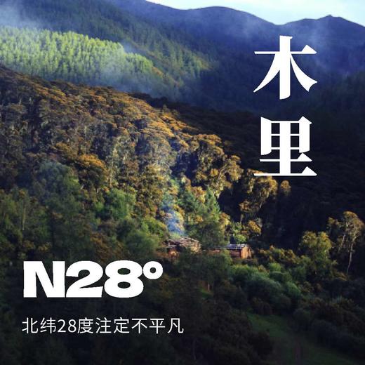 香菌牦牛肉（五香味100g+香辣味100g） 商品图3