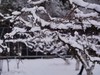 1月周末活动：柴锅蒸糖葫芦馒头、马上出发日历or灌肉肠、福字灯笼 商品缩略图2