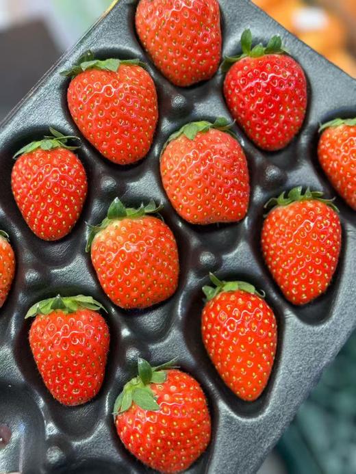 周五取货：【新鲜草莓】一盒15粒左右，形美味甜，柔嫩多汁 商品图1