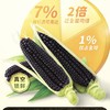北优天赐 东北黑土地黄黑甜糯玉米（单根12-14cm） 商品缩略图4