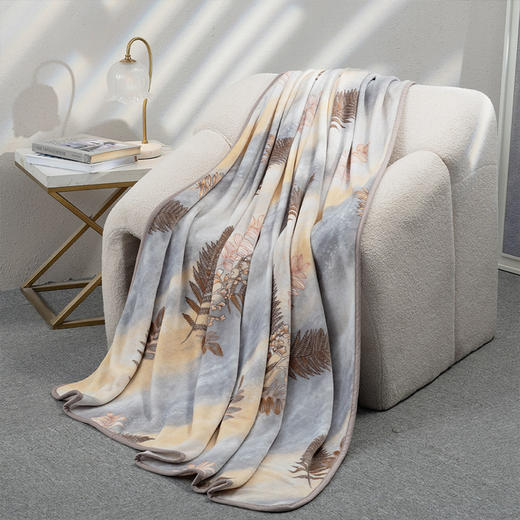 水星家纺DH秋日温情法兰绒毯 180*200cm 126359 商品图2