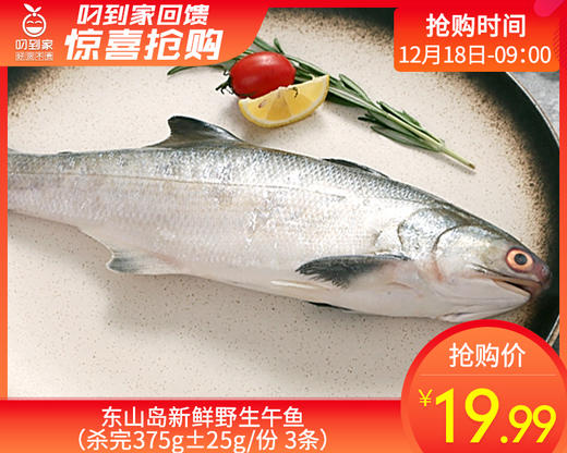东山岛新鲜野生午鱼（杀完375g±25g/份 3条） 商品图0