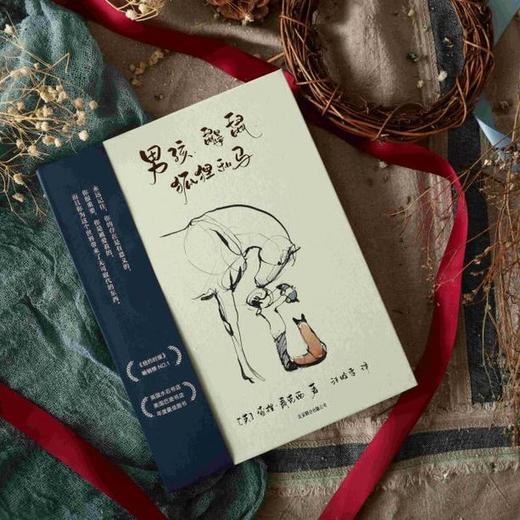 男孩、鼹鼠、狐狸和马 （当代《小王子》！）艺术品级别的精美装帧 值得送给你爱的人 商品图4