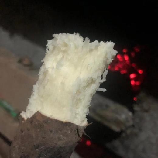 明天发货，山药王垆土铁棍山药，用心种，放心山药，好吃的山药，xg87654321 商品图1