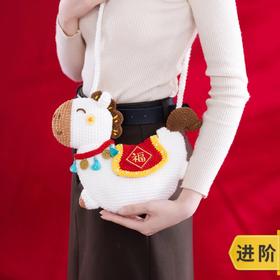 苏苏姐家骏马斜挎包手工diy编织钩针毛线团自制手编2号线包包材料包