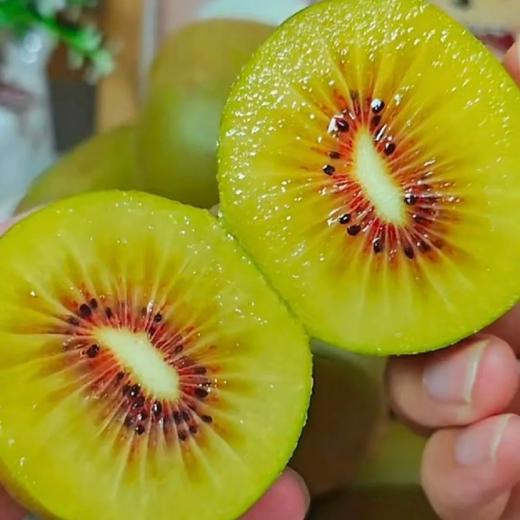【巴蜀出品，必属精品】来自猕猴桃核心种植区 黄心/红心猕猴桃，一次吃到两种口感 奇异果 金果 现摘现发 满满维C 商品图6