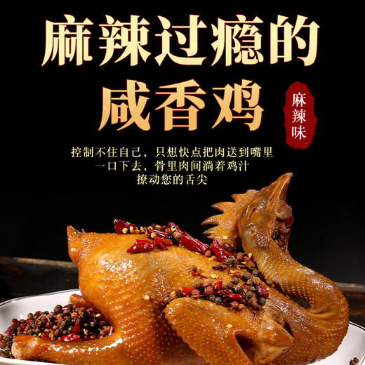 甘有福咸香鸡|精选广西本土散养鸡.味浓肉紧肉质鲜美【清明期间正常发货】 商品图4
