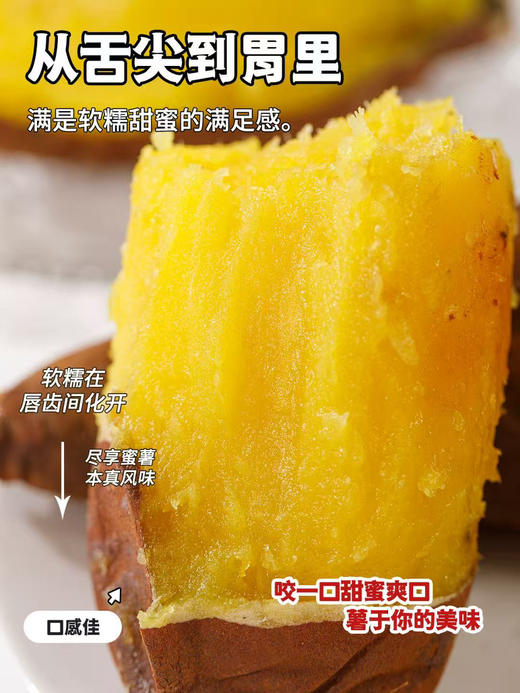 嘿山贡薯🍠
不够惊艳，怎么敢打扰。
云南板块海拔1800米一代纯种株长达180天的用心守候，千亩基地自有种植，吃到的不仅是甜，是云南的红土、高山湖的水，和基地十年的心血，推荐品尝👏 商品图4