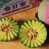 春日蜜·海南蜜瓜  商品缩略图0