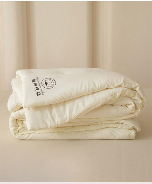 無印良品A类新疆棉花被 商品图5
