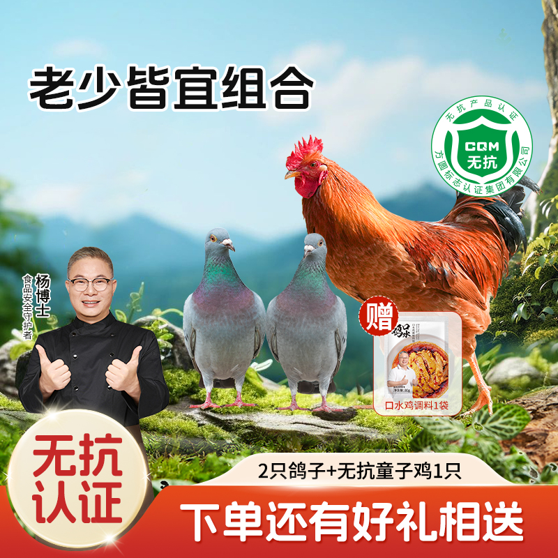 【杨博士自营 老少皆宜组合】2只鸽子+散养无抗童子鸡1只 营养美味